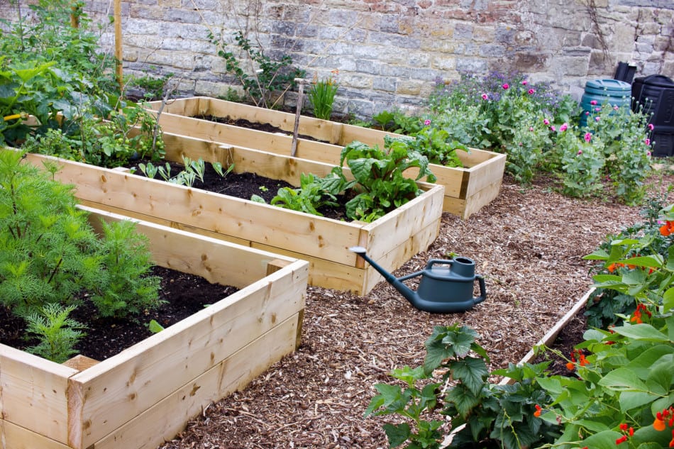 How To Create Weed Free Paths In Your, What To Put Around A Raised Garden Bed