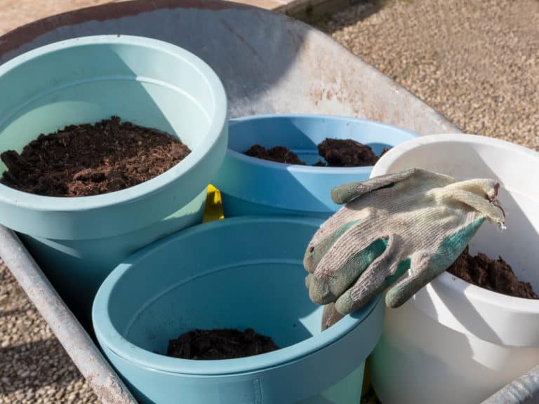 Best Ways to Reuse Old Compost and/or Potting Soil