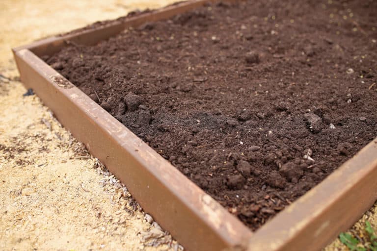 Why Does Compost Disappear Over Time?