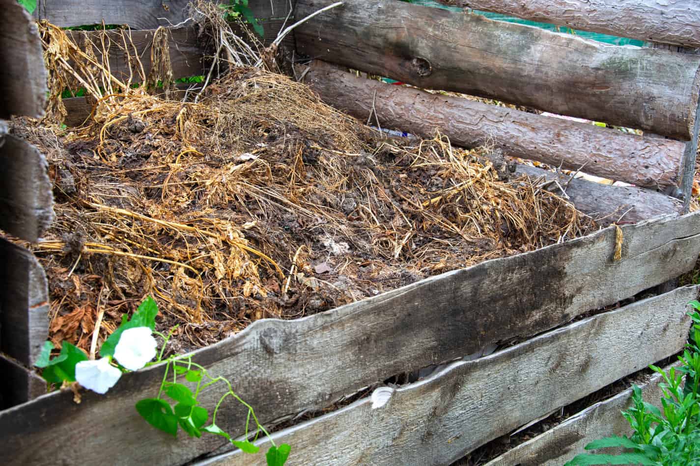 What's the Difference Between Manure and Compost?
