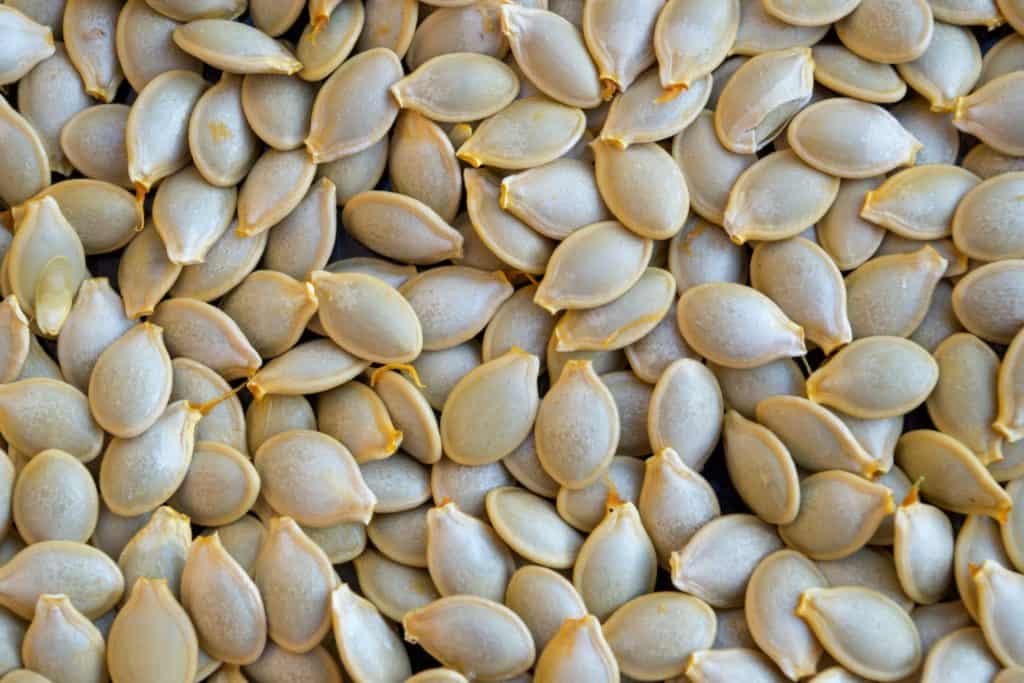 Saving Zucchini Seeds – A Step-By-Step Guide – Tiny Garden Habit
