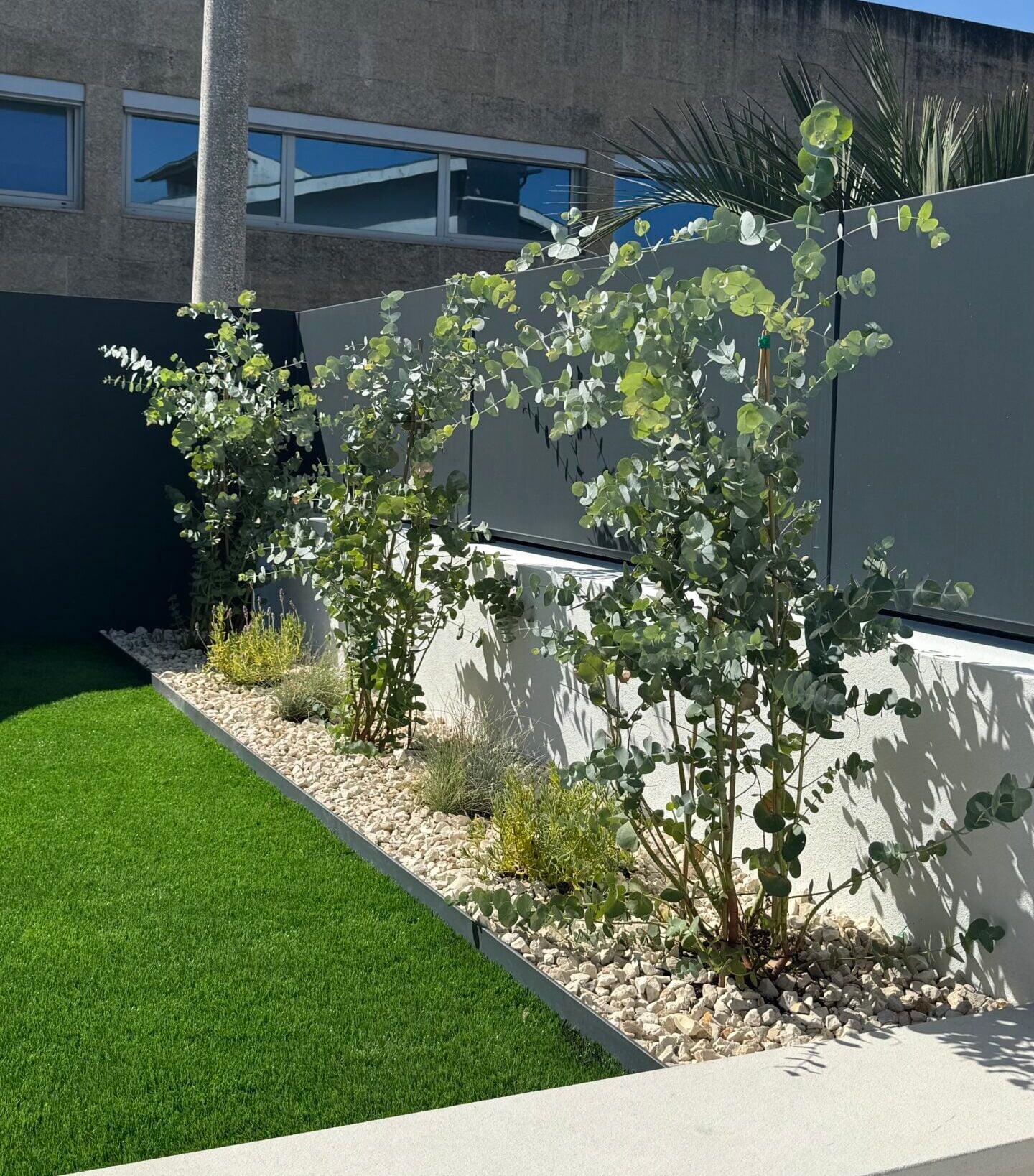 Eucalyptus, Lavanda and Blue Fescue