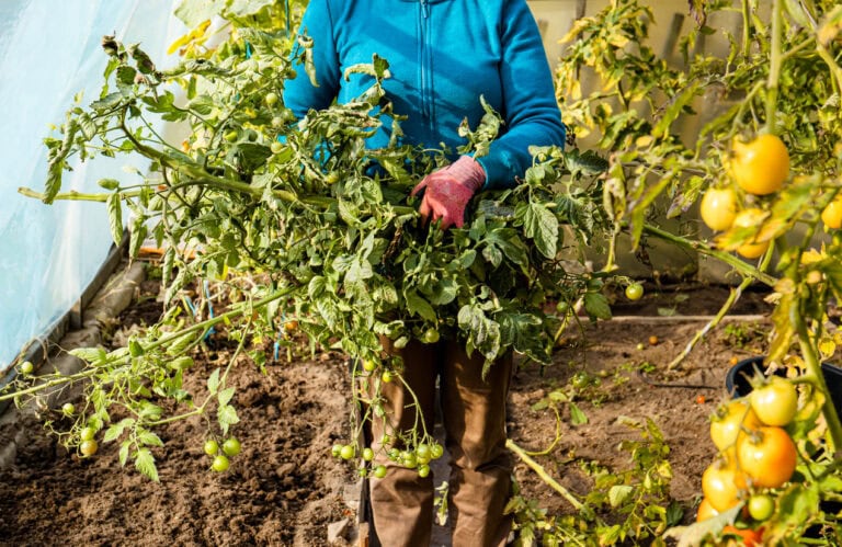 November Checklist: 10 Tasks That Prepare Your Garden For Winter
