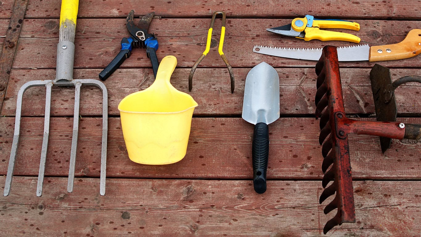 Cleaned garden tools