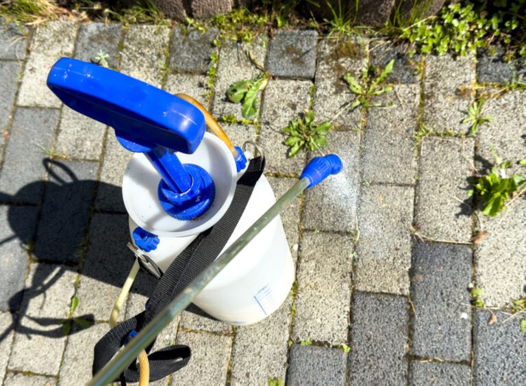 10 Easy Homemade Weed Killer Recipes That Actually Work