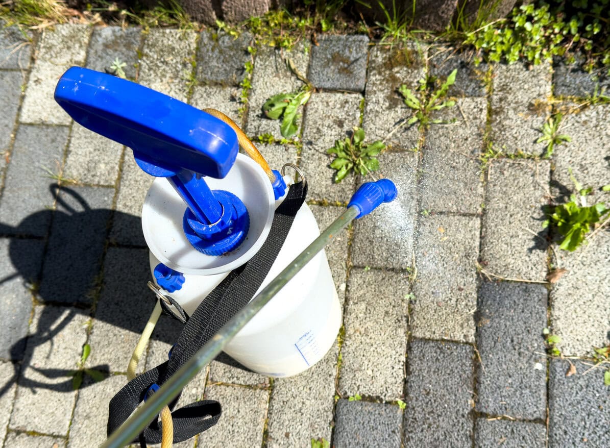 Unkraut vom Gehweg entfernen