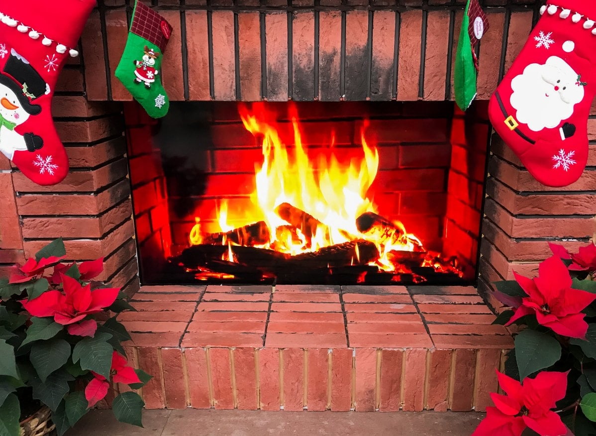 Poinsettia by the fireplace