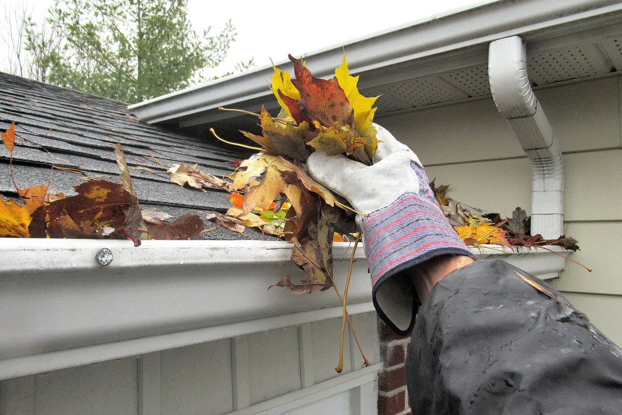Removing autumn leaves from a roof top gutter.
