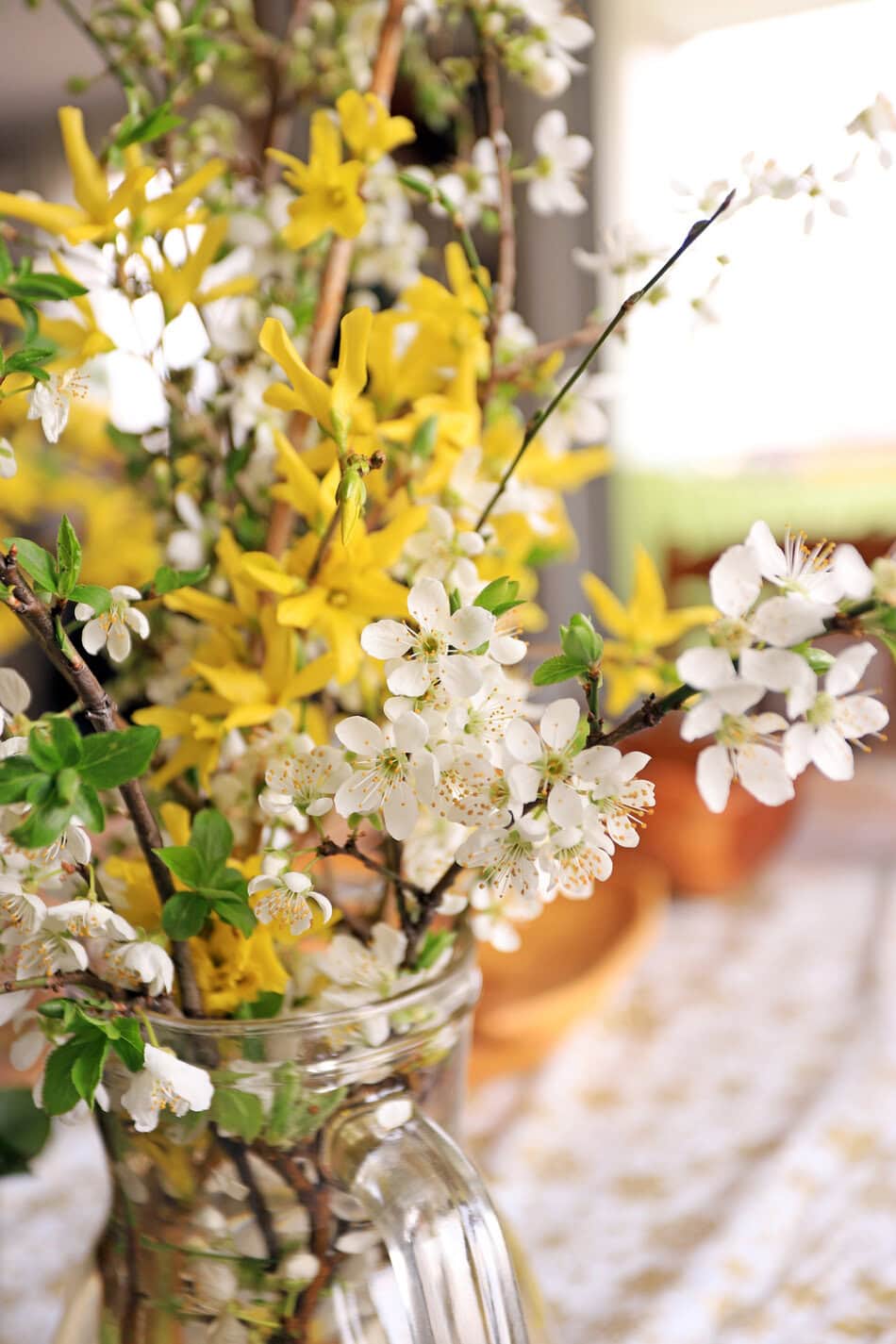 Vase with spring flowers cherry blossoms and Forsythia.
