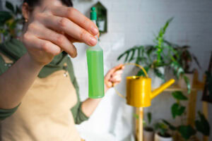 The Best Fertilizer Routine for Christmas Cactus (Month-by-Month Guide)