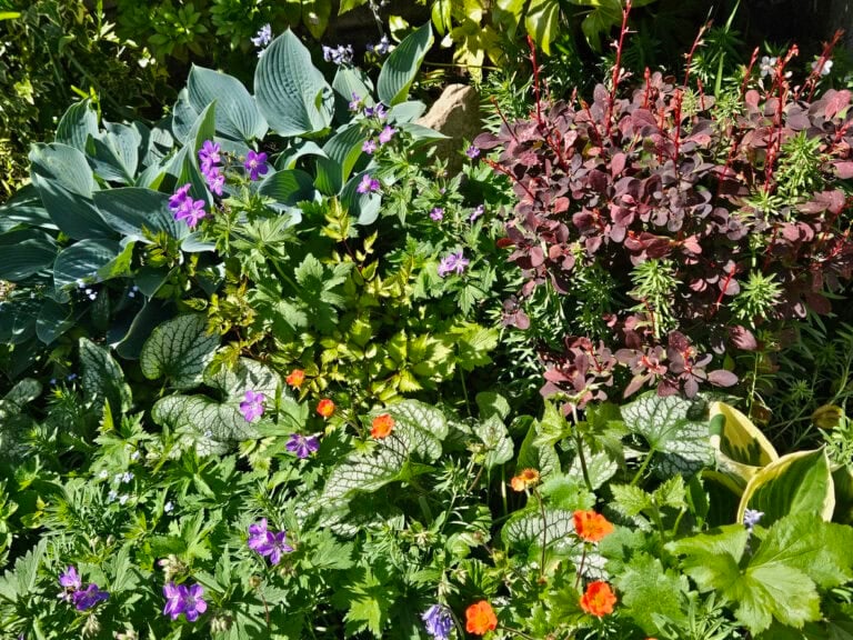 9 Perennials You Can Safely Divide in Early Spring (And Which to Leave Alone)