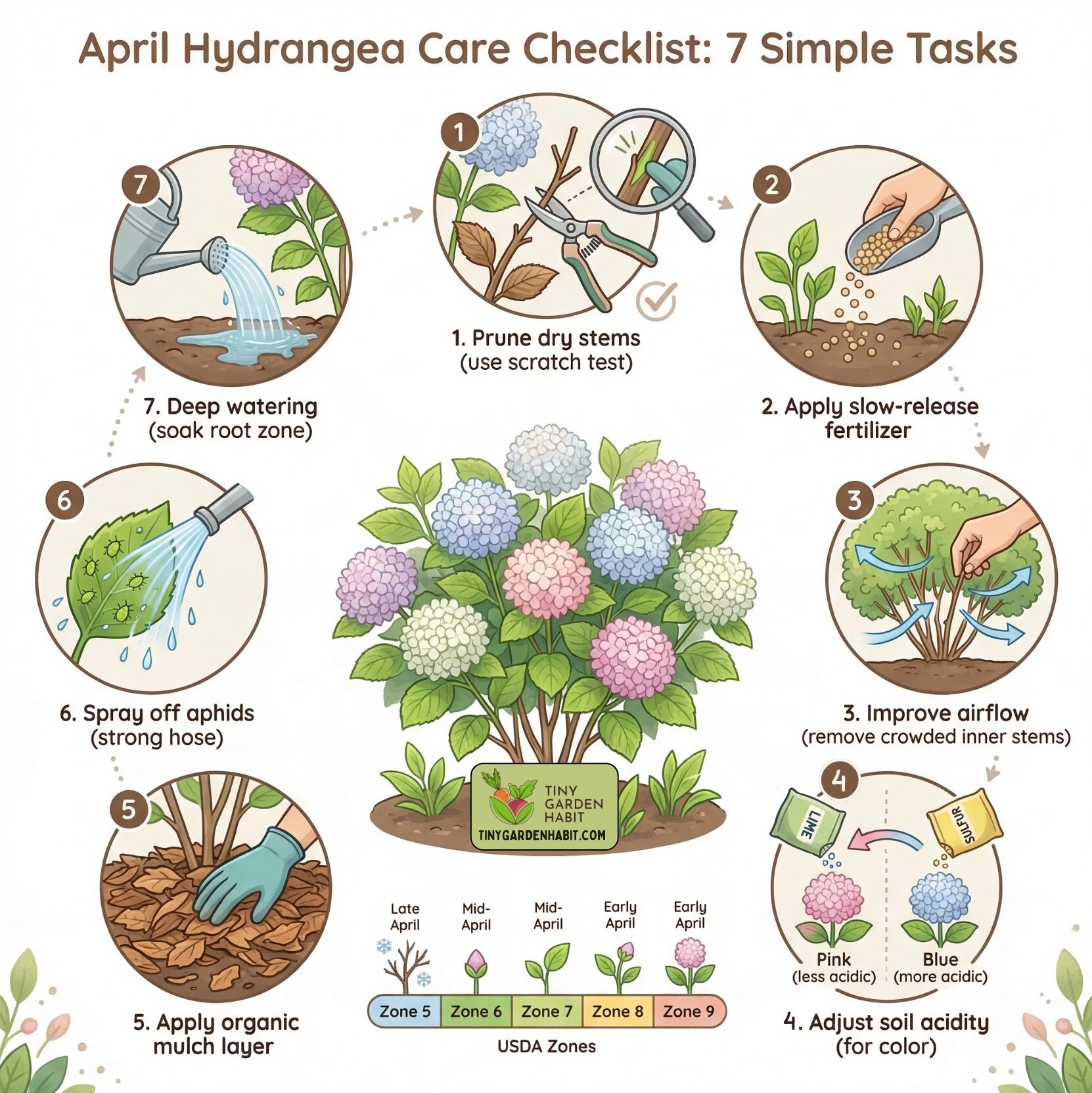 April Hydrangea Care Checklist