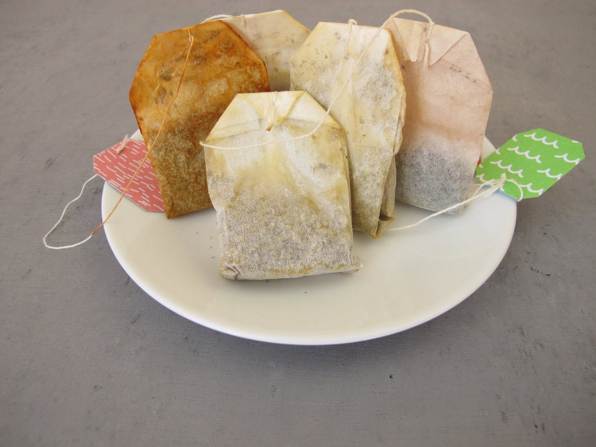 Dried tea bags for homemade organic plant fertilizer