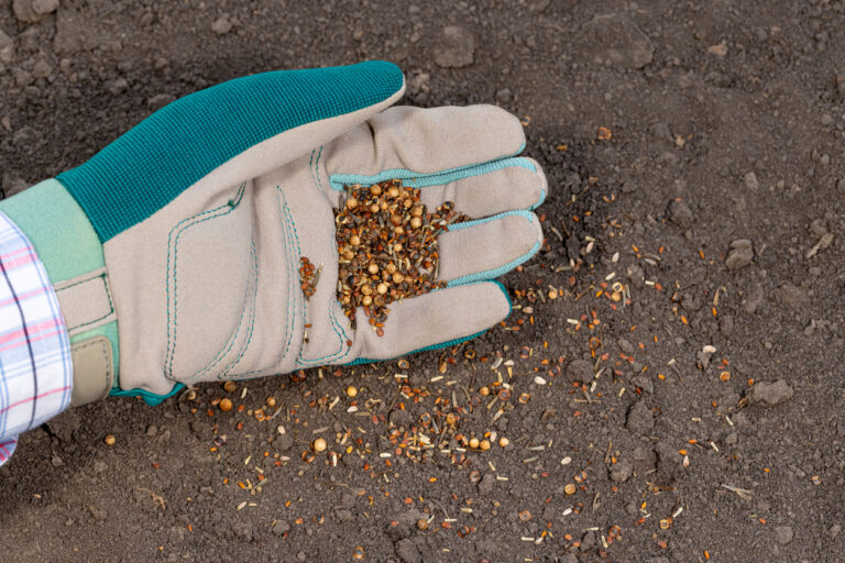 What Flowers to Plant in April (By Zone): 11 That Grow Fast and Bloom Big