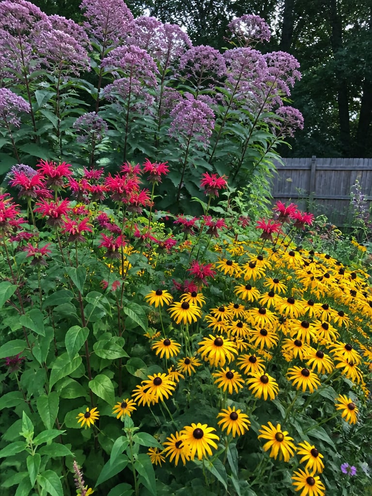 Joe Pye Weed, Bee Balm and Black eyed susan