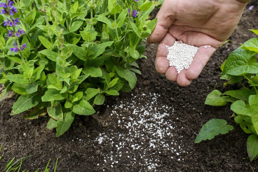 Fertilizer for the garden (garden lime)