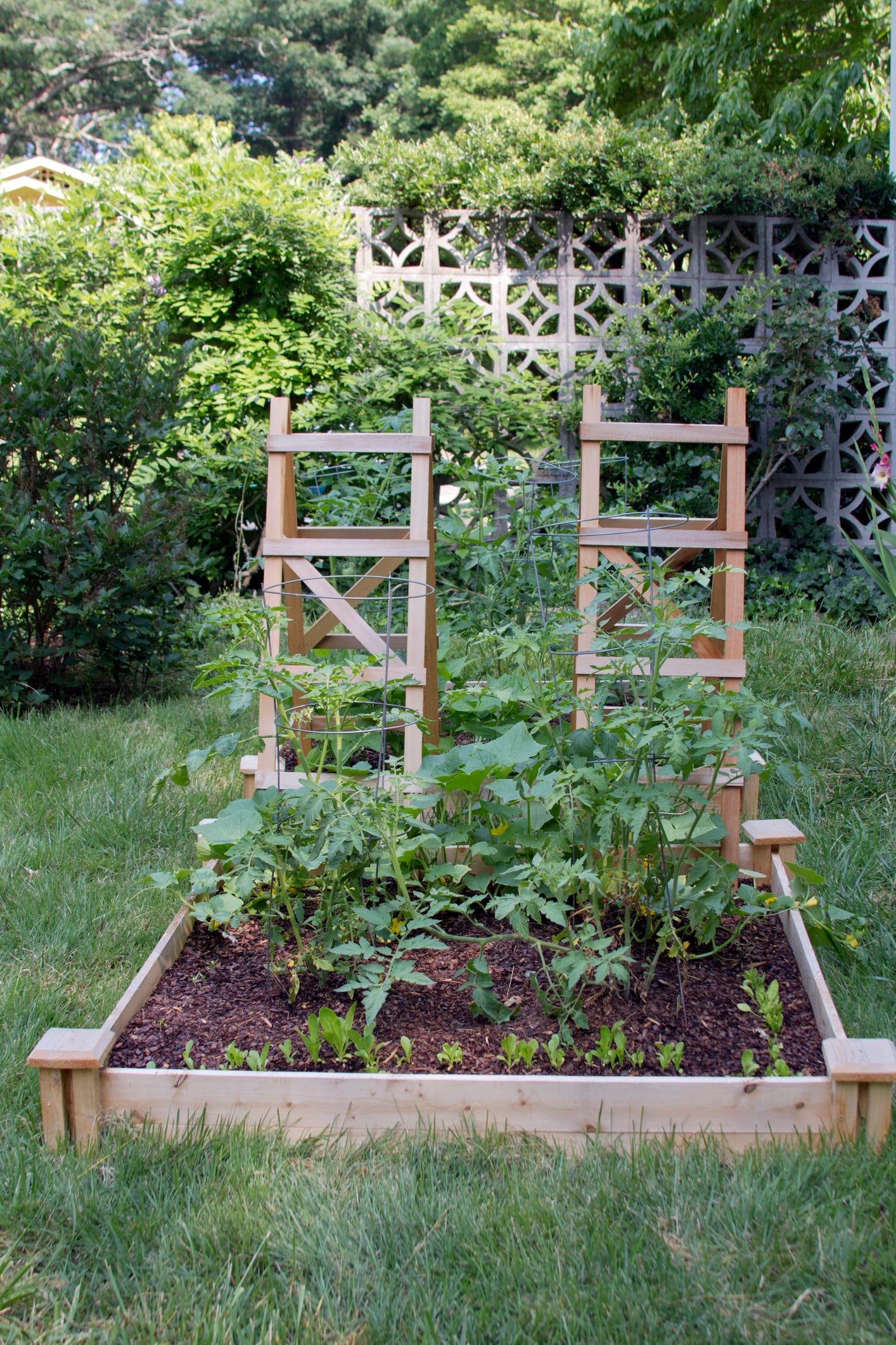 Ladder trellis