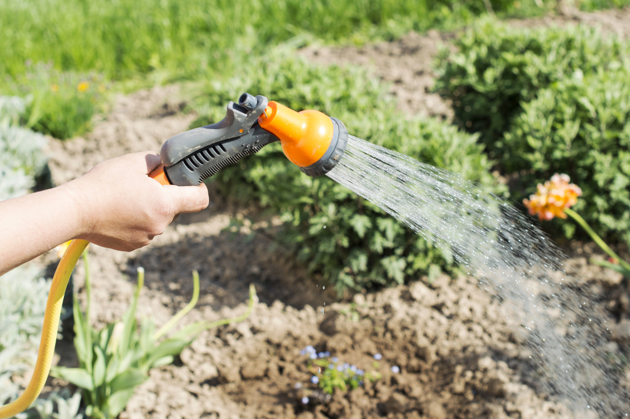 Watering water from a hose