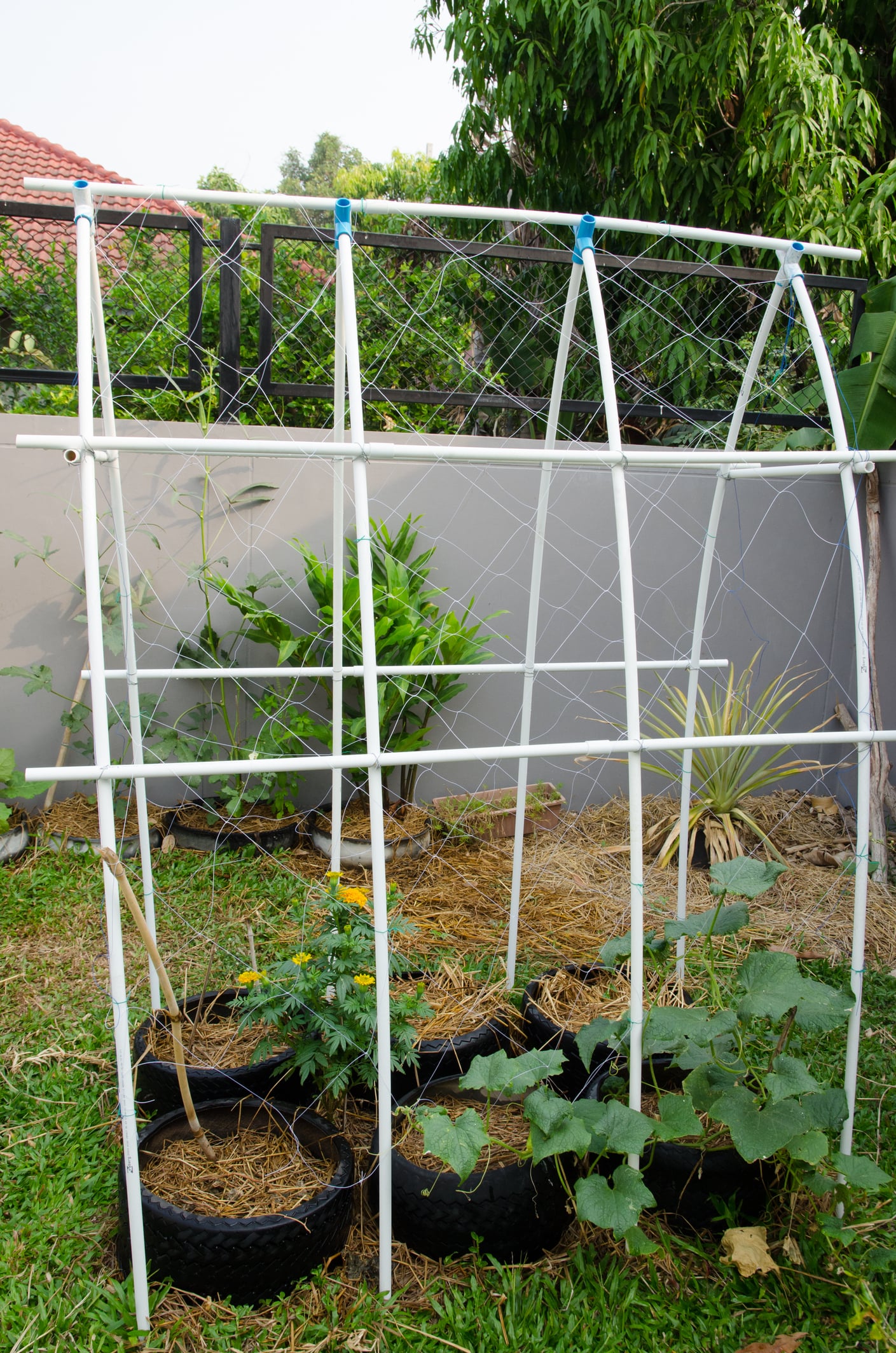 PVC Trellis support