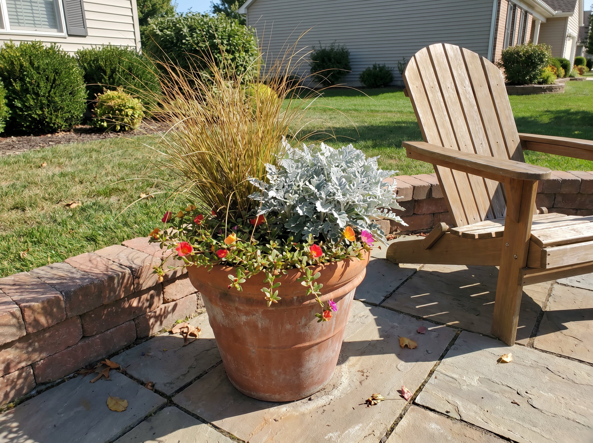 ornamental grass, dusty miller, and portulaca