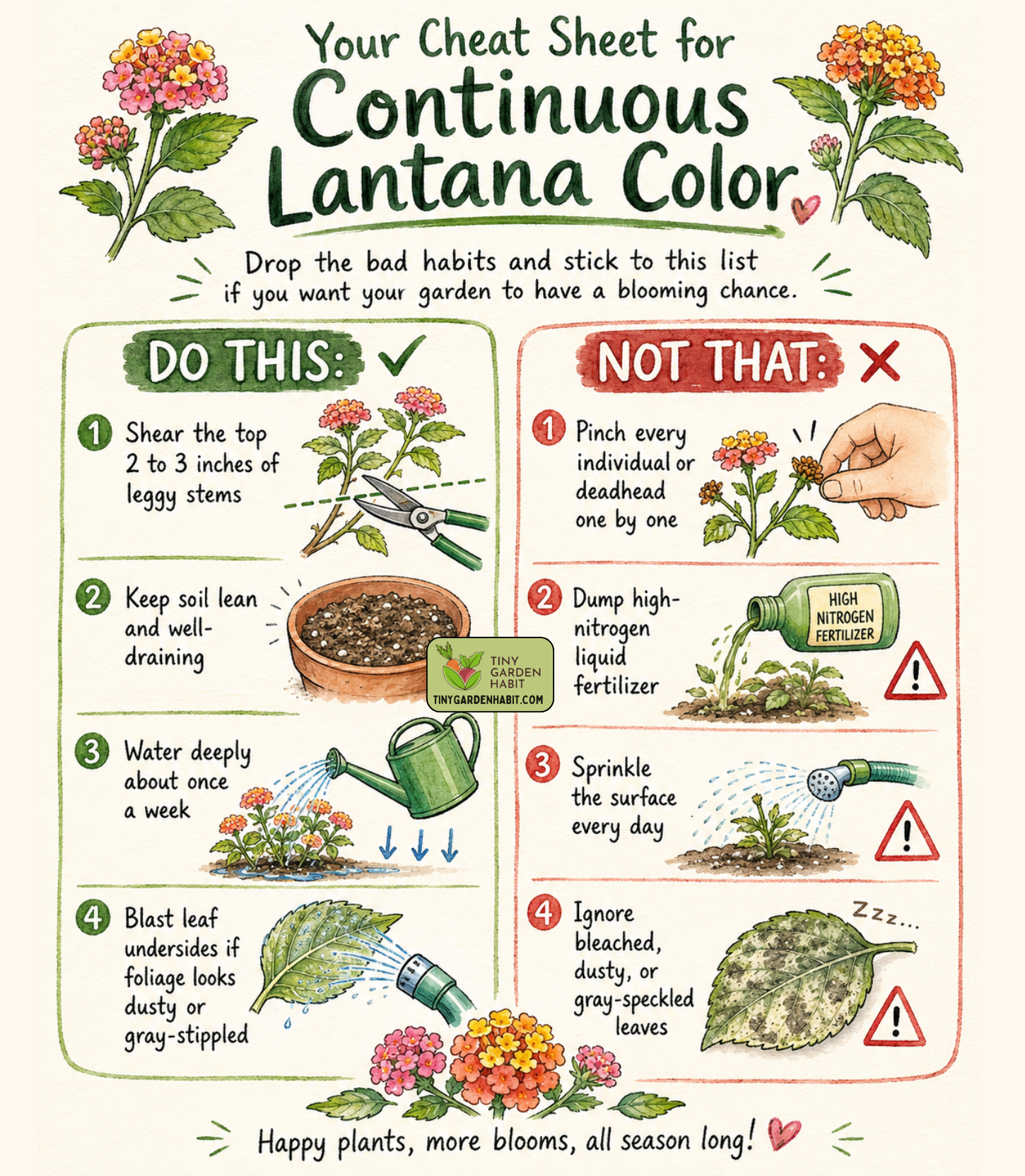 Lantana Cheat Sheet